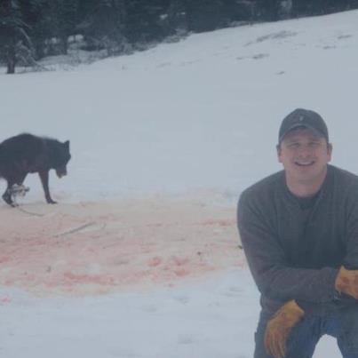 Wolf caught in leg-hold. An Idaho Forest Service employee came under fire for trapping a wolf and snapping a photo of the wounded animal before killing it.