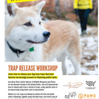 Trap Release Poster Jackson WY