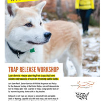 Trap Release Lander Poster