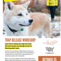 Trap Release Poster Rock Springs
