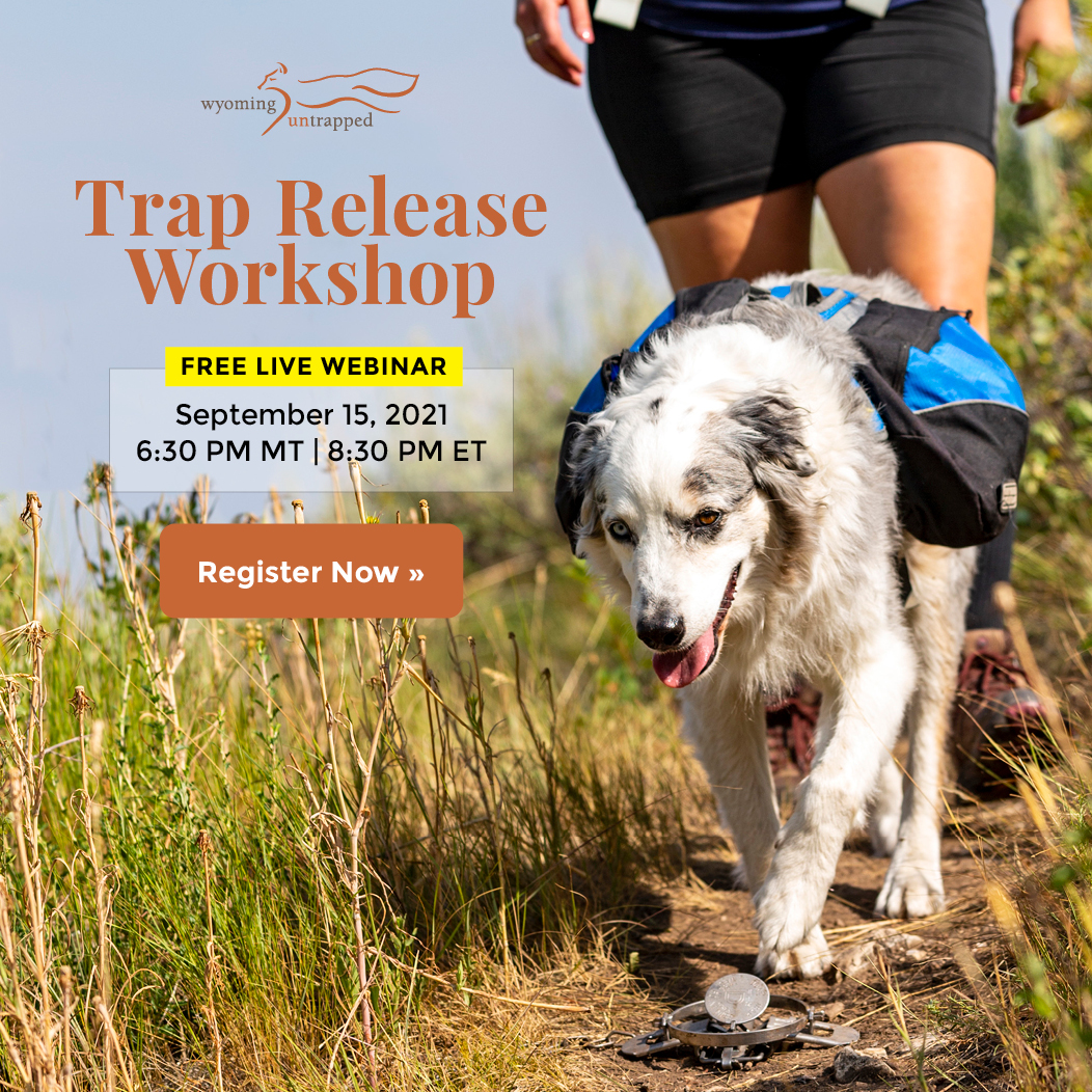 Trap Release Workshop Webinar