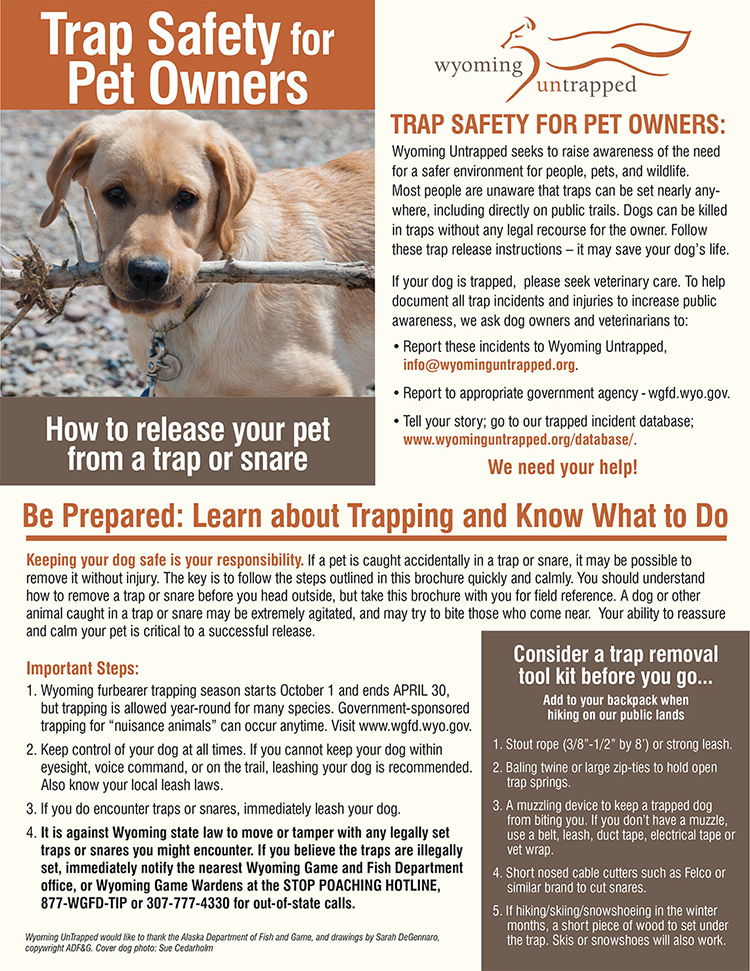 Trap Safety for Pet Owners