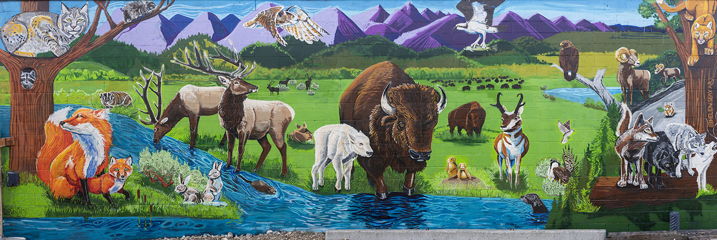 Wild Journeys Mural Wall Two