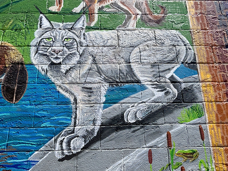 Wild Journeys mural — the story of the bobcat.